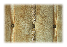 Pele mele photos