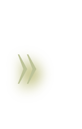 wpf304334f.png